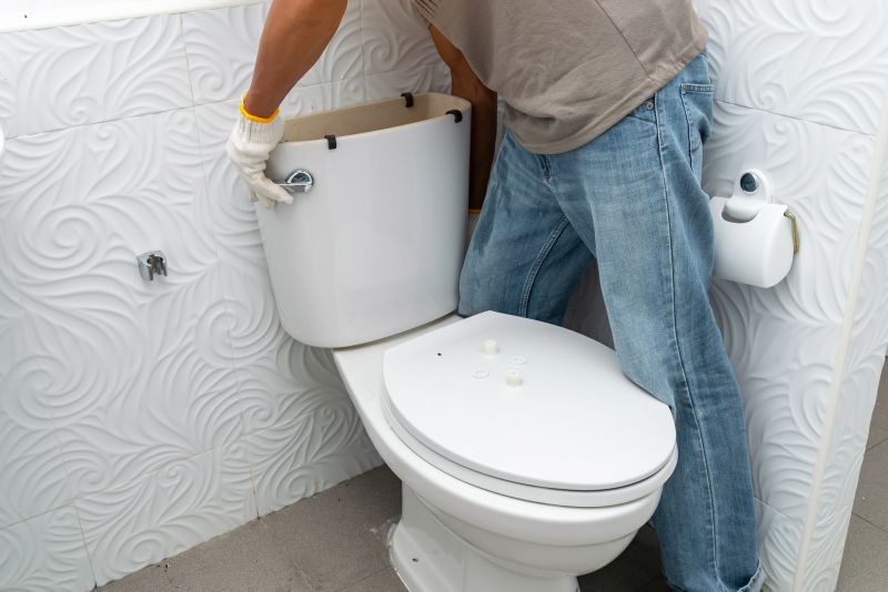 Toilet Removal