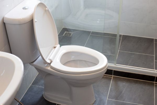 Toilet Replacement in Bronx