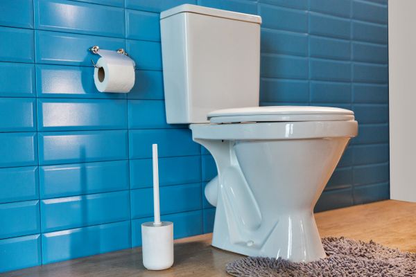 Toilet Tank Repair in Bronx