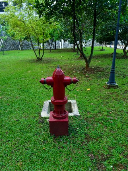 Ground Hydrant Installation in Bronx