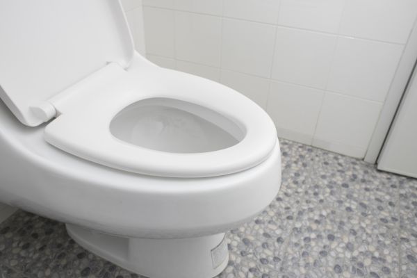 New Toilet Installation in Bronx